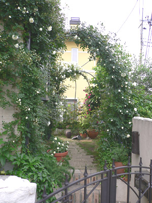 photo11