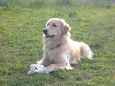 photo20